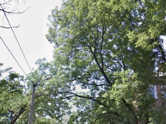 Прожаж комерц.прим./Герцена 54м2 на початку ближче до Головноі Чернівці