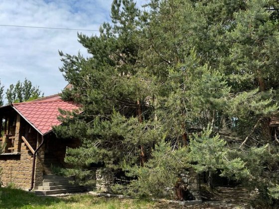 1.5 га комерційна нерухомість будівництво багатоквартирного будинку Черновцы