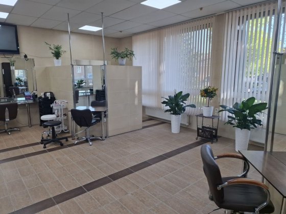 Салон краси Шарм+ шукає перукарів Житомир