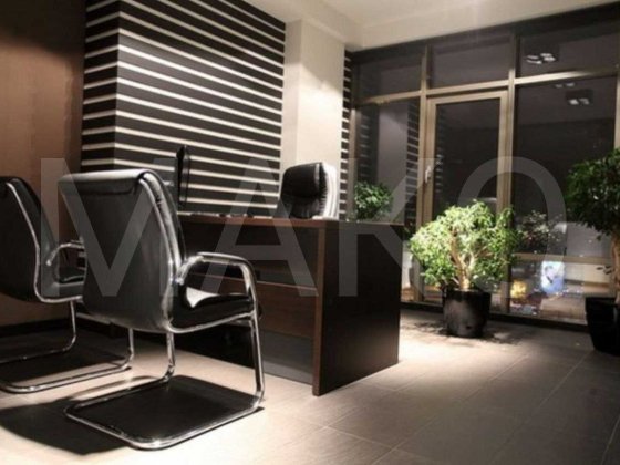 Елегантний офіс на Олімпійському – ідеальне рішення для інвесторыв Київ