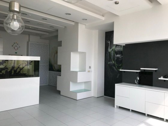 Продажа  Помешения 220 м2 Клиника Школа Офис Салон Красоты Пушкина Дніпро
