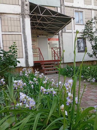 Продаж фасадного приміщення, вул. Мішуги 1/4 (Позняки) - фото 1