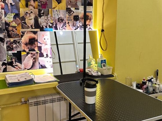 Работа .Оренда місця під грумінг, шукаємо грумера з досвідом Краматорск