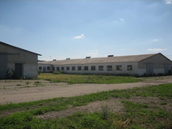 Здам в оренду  приміщення ферми в селі Серебрія Могилев-Подольский