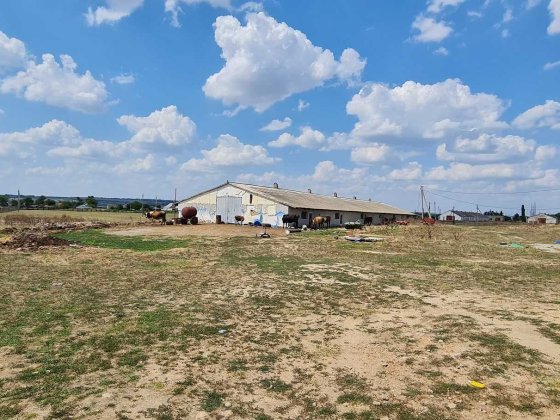 Продаж тваринницького комплексу. 5000 кв.м. 11 га. Миколаїв