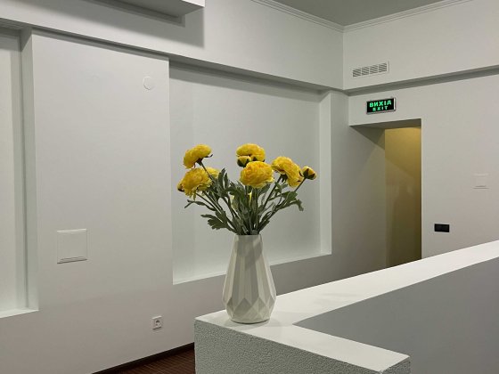 Продається комерційне приміщення Київ