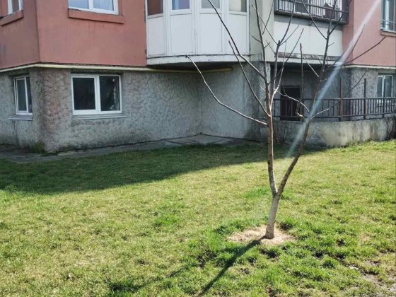 Продаж нежитлового приміщення Шевченка Львов