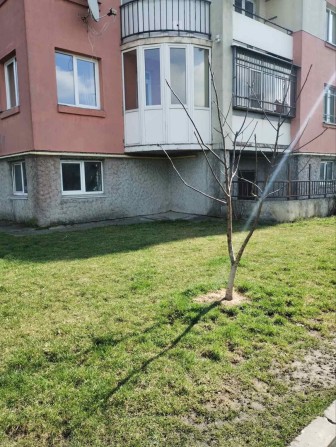 Продаж нежитлового приміщення Шевченка - фото 1