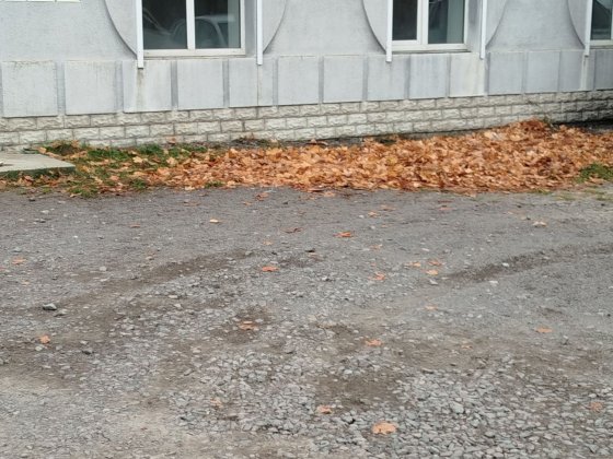 Здам під магазин,офіс,склад,салон,тощо. Сарни