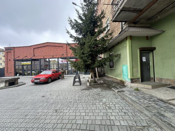 Здам приміщення в центрі м.Стрий Стрый