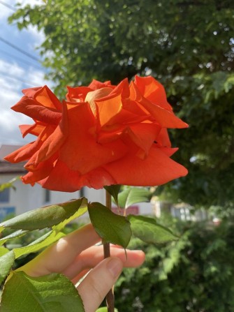 здаються кабінети під любу сферу діяльності - фото 1