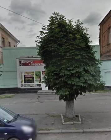 Оренда комерційноЇ нерухомості, центр 188 кв/м - фото 1