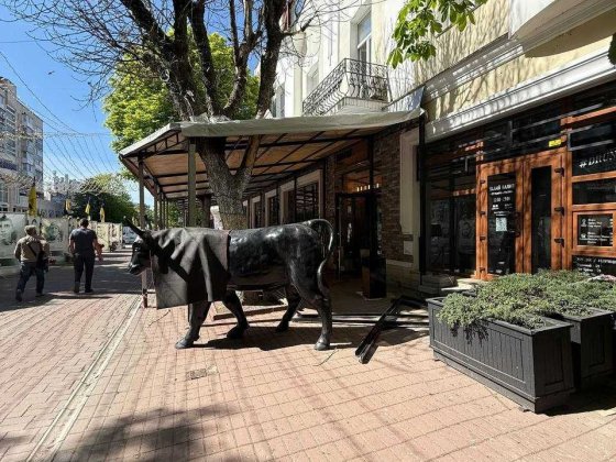 Оренда приміщення в топовій локації Хмельницький