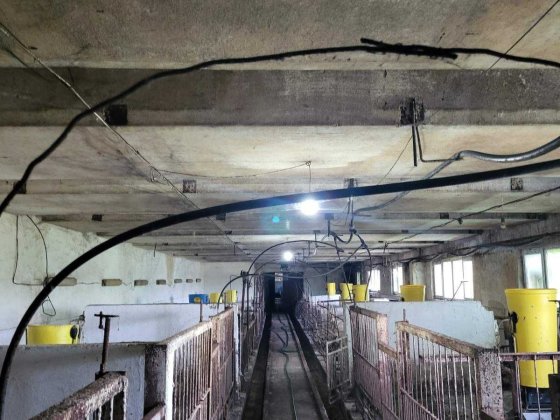 Оренда діючої свиноферми м. Шептицький (Червоноград) Львівська область Шептицький