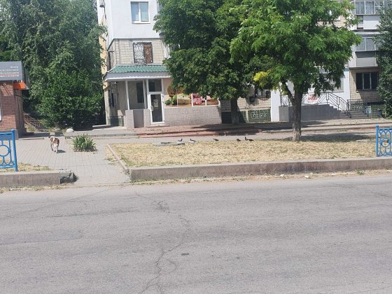 Здам в оренду магазин 66м2 Никополь