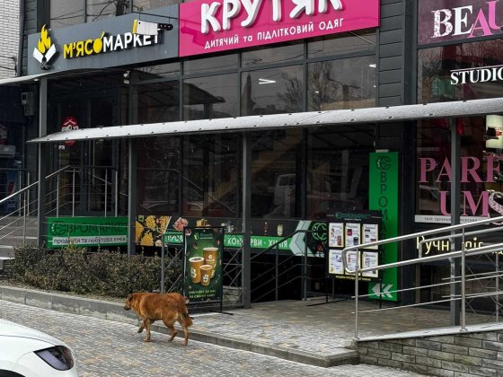 Здам приміщення в оренду Гайсин