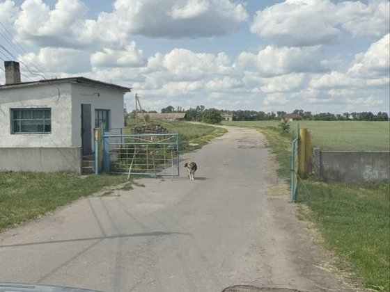 Оренда охоронюваної території з приміщеннями — Баришівка Барышевка