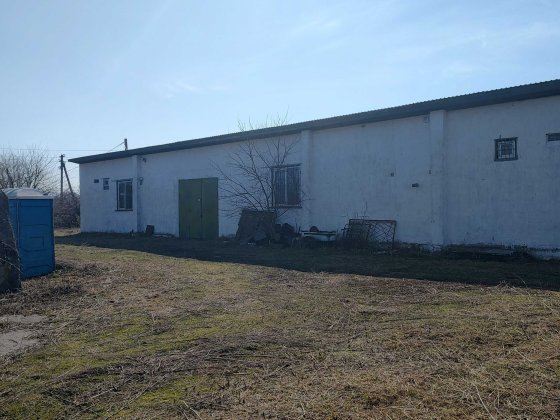 Ферма Склад зерносховище цех Виробництво скотарство курник Броварський Літки