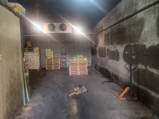 сдам склад холодильник на Агрономической. Авангард