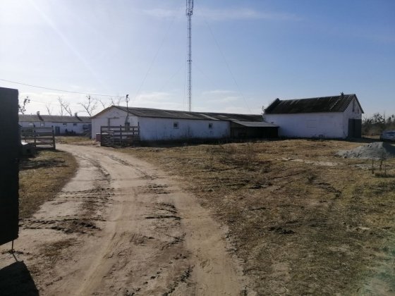 Продам діючу ферму Сингуры
