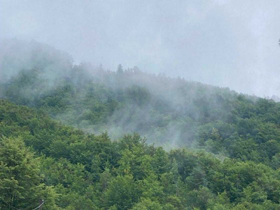 Курорт Велятино - Український Боржомі . Діючий санаторій 9000 м2 . Велятино