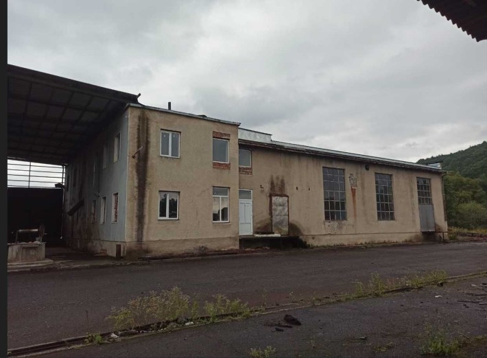 Продаж  консервного  заводу/Великий Бичків - фото 1