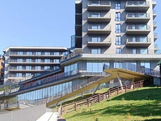 Продається дохідна нерухомість апартаменти в Буковелі Поляница