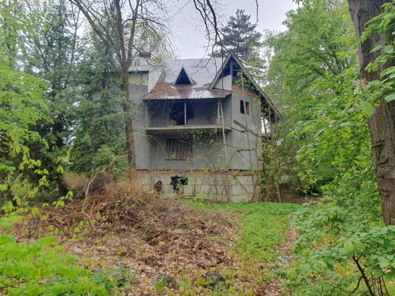 Будинок поруч з центром міста у затінку дерев та поруч ставка. Богородчаны