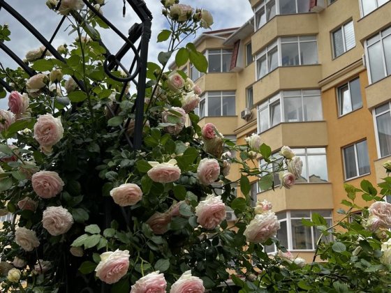 Продаж приміщення з ремонтом Софіївська Борщагівка