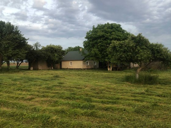 Продам або здам в оренду свиноферму Острог