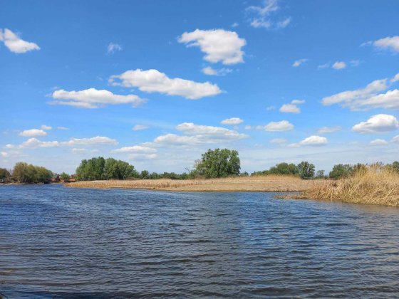 САДИБА на  Дніпрі— ВІДПОЧИНОК та  БІЗНЕС в одному! Лозівок