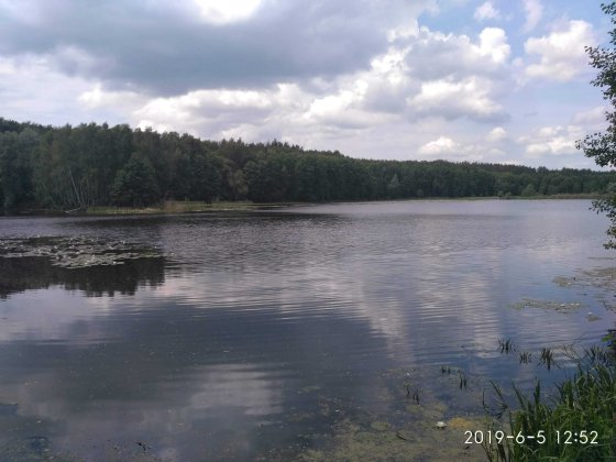 Продам або обміняю на житло табір відпочинку на березі річки Мена