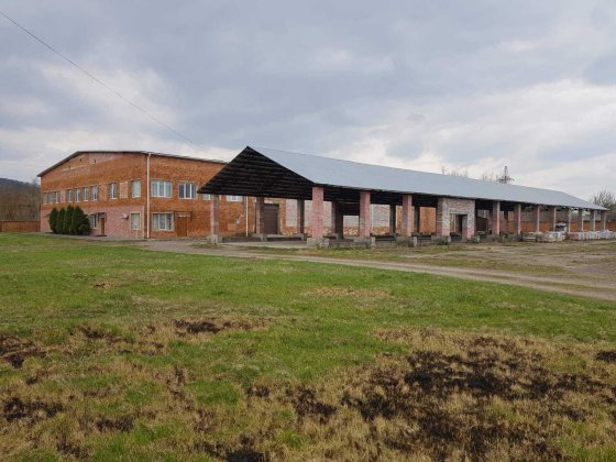 Продажа имущественного комплекса, Черновицкая обл., с. Нововселица. Новоселиця