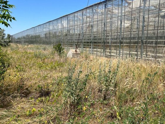 Готовий тепличний бізнес Київський район Одеса! Інвестиційний обєкт в Україні Одеса