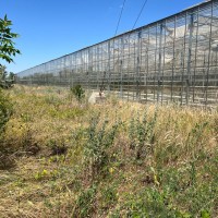 Готовий тепличний бізнес Київський район Одеса! Інвестиційний обєкт в Україні Одесса