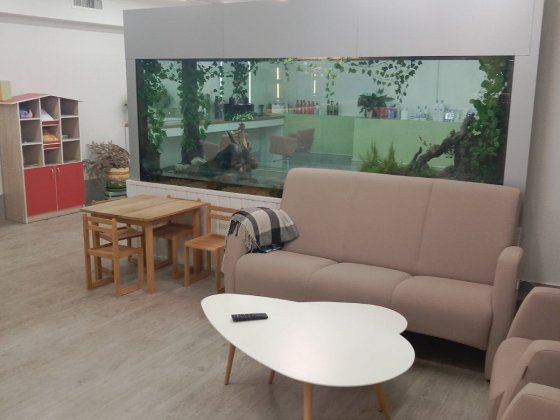 Здається комерція в центрі міста Ивано-Франковск