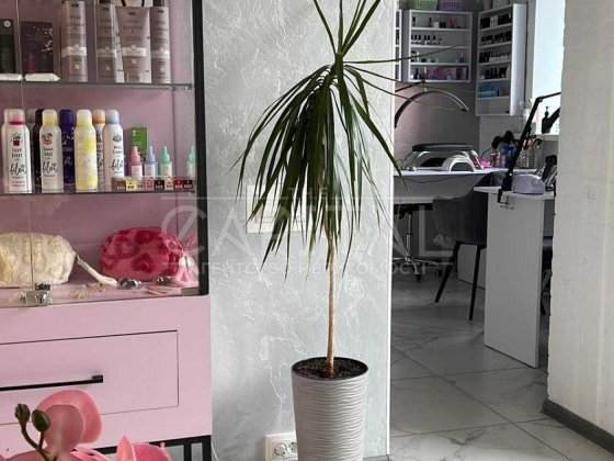 Аренда торговой площади Вишневое ЖК Променада Вишневое