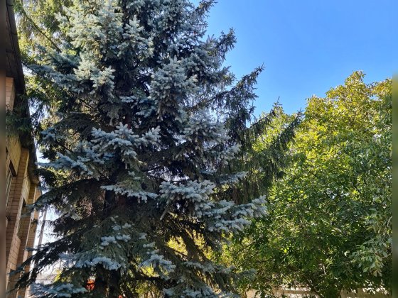 Приміщення під вашу діяльність, площа 70 м². м. Вишневе. Вишневое