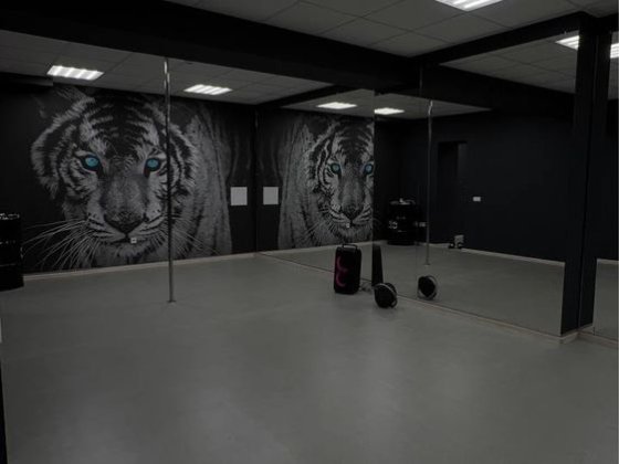 Здам 2 зали у центрі міста Полтава