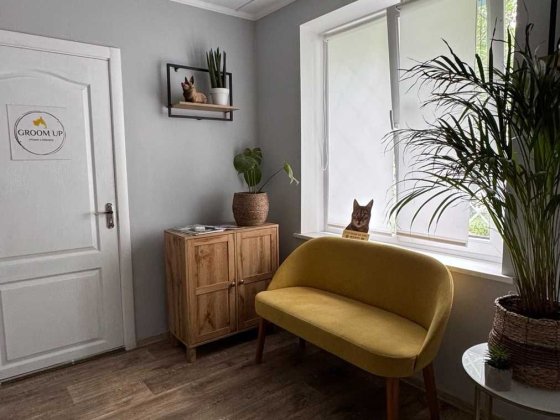 Оренда грумінг салону Суми