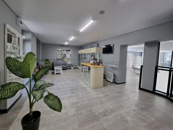 Оренда офіс, спорт, виставка-продаж Житомир