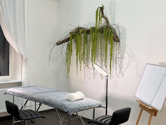 Місце майстра нарощування вій, перманенту, татуювання Житомир