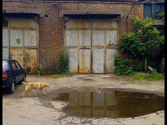Сдам боксы и гаражи с въездом фуры на южном шоссе