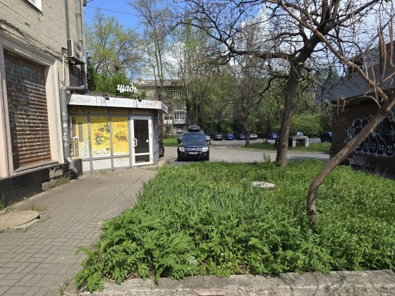 Сдам помещение цоколь рн Бульвар Шевченко