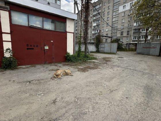Здам в оренду бокс на сто (суборенда) Дніпро
