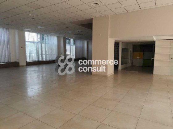 Оренда офісу по вул. Угорській, 490 м2 (БЕЗ КОМІСІЇ) Львів