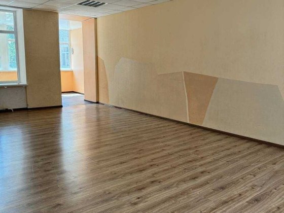 Центр Александр. р-на Большой офис ->65м2