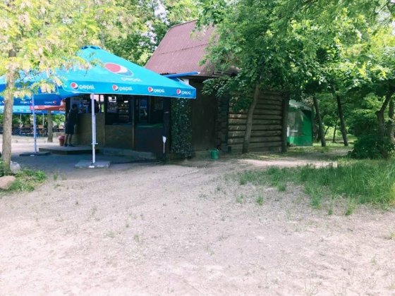 Сдам сруб на Хортице