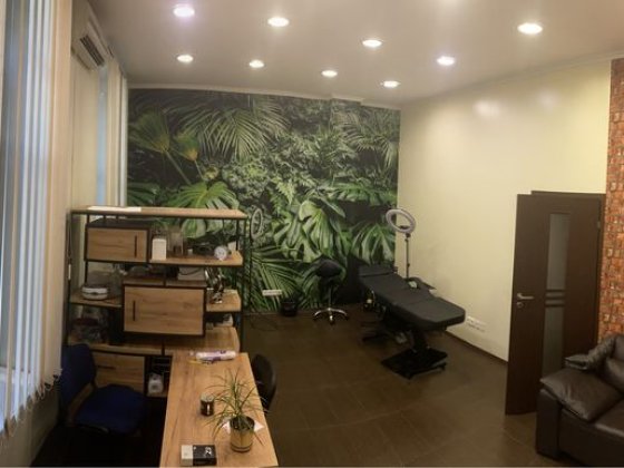 Кабинет косметолога,, Офис, 35 кв.м., Центр, отд. вход, охрана