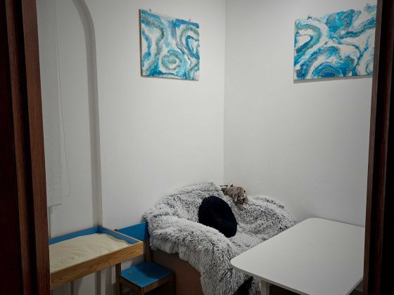 Кабінет психолога, логопеда, консультацій Днепр